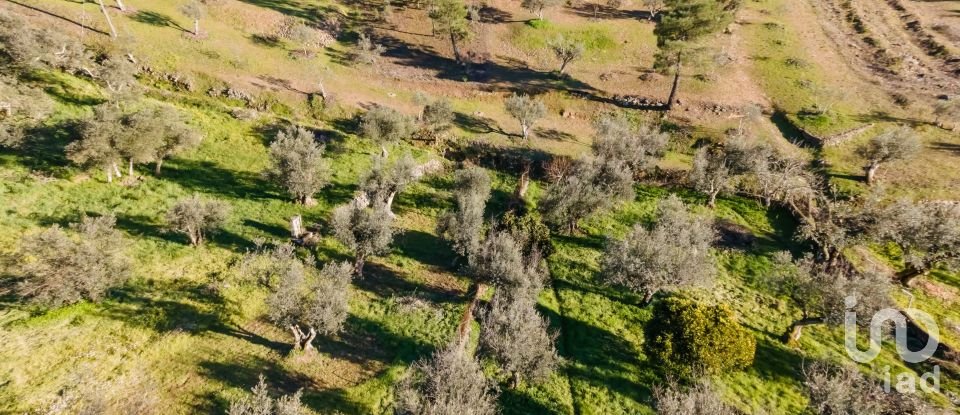 Casa de aldeia T7 em Proença-a-Nova e Peral de 434 m²