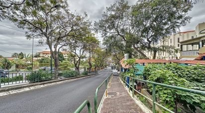 Boutique/Local commercial à São Martinho de 24 m²