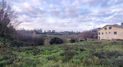 Terrain à Ovar, São João, Arada e São Vicente de Pereira Jusã de 1 405 m²