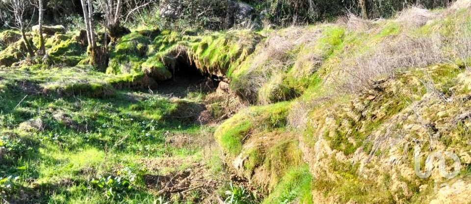 Land in Freixianda, Ribeira do Fárrio e Formigais of 13,073 m²