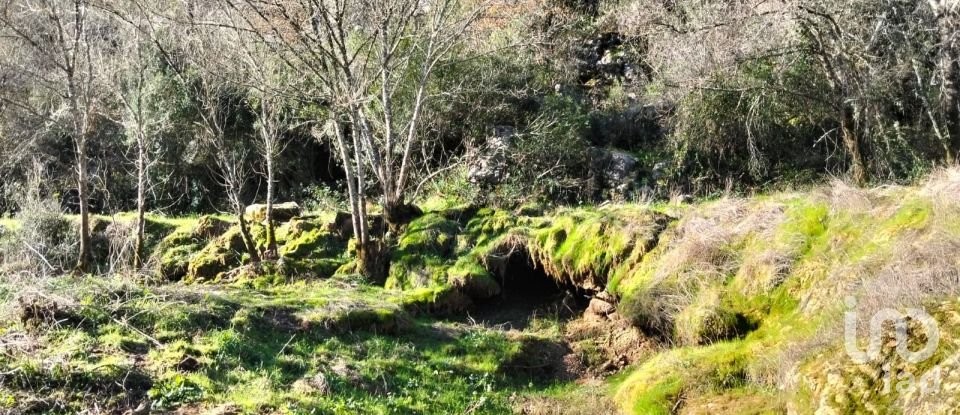 Land in Freixianda, Ribeira do Fárrio e Formigais of 13,073 m²