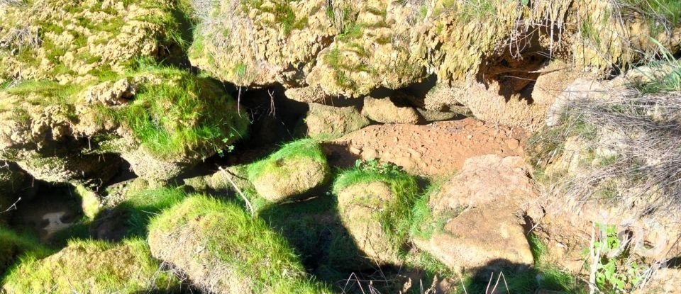 Land in Freixianda, Ribeira do Fárrio e Formigais of 13,073 m²