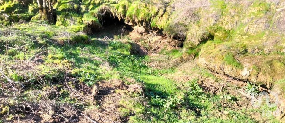 Land in Freixianda, Ribeira do Fárrio e Formigais of 13,073 m²