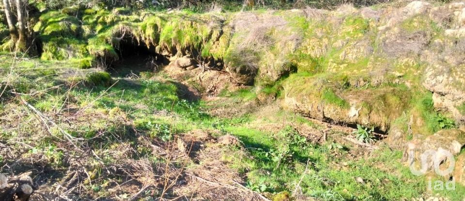 Land in Freixianda, Ribeira do Fárrio e Formigais of 13,073 m²