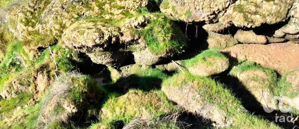 Land in Freixianda, Ribeira do Fárrio e Formigais of 13,073 m²