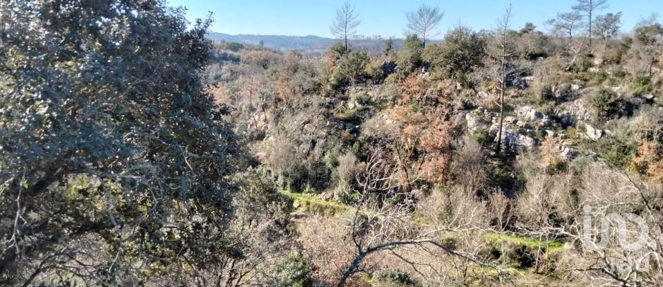 Land in Freixianda, Ribeira do Fárrio e Formigais of 13,073 m²