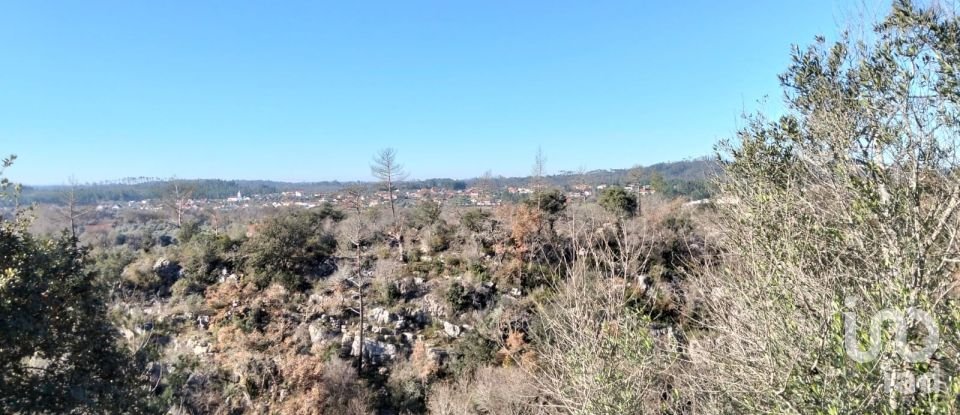 Land in Freixianda, Ribeira do Fárrio e Formigais of 13,073 m²