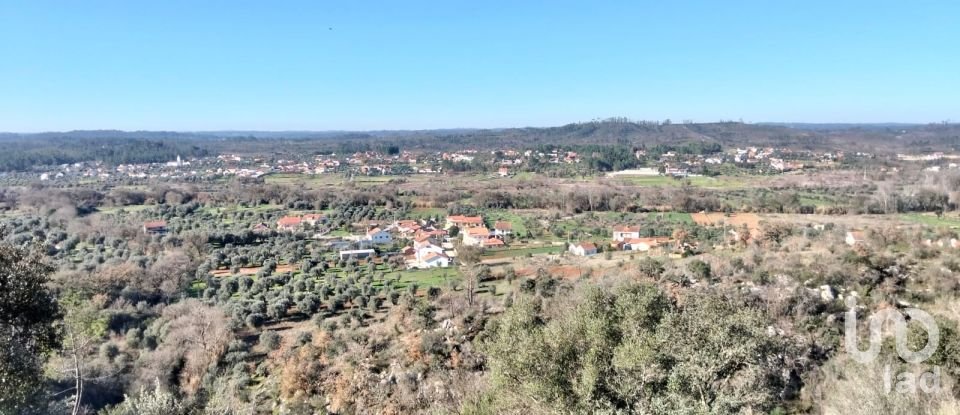 Land in Freixianda, Ribeira do Fárrio e Formigais of 13,073 m²