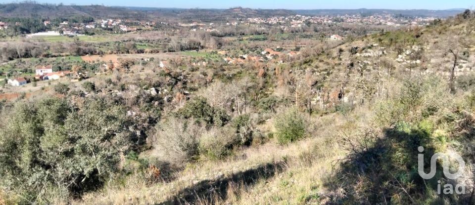 Land in Freixianda, Ribeira do Fárrio e Formigais of 13,073 m²