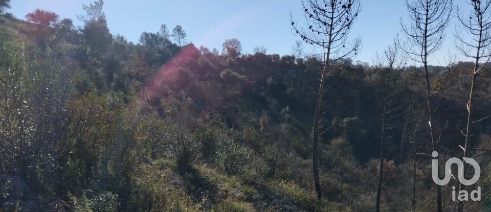 Land in Freixianda, Ribeira do Fárrio e Formigais of 13,073 m²