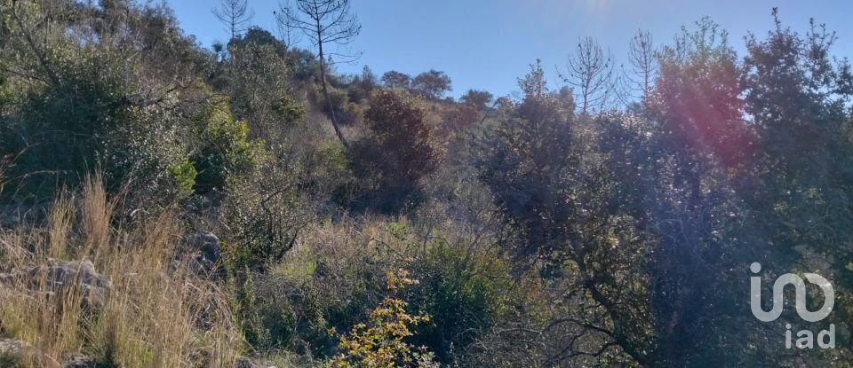 Land in Freixianda, Ribeira do Fárrio e Formigais of 13,073 m²