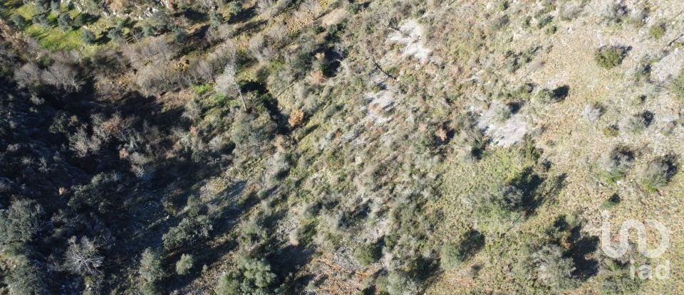 Land in Freixianda, Ribeira do Fárrio e Formigais of 13,073 m²