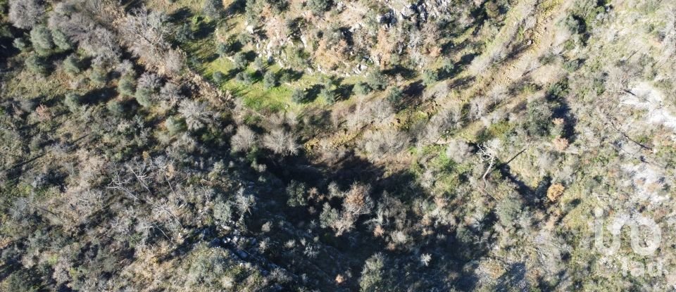 Land in Freixianda, Ribeira do Fárrio e Formigais of 13,073 m²