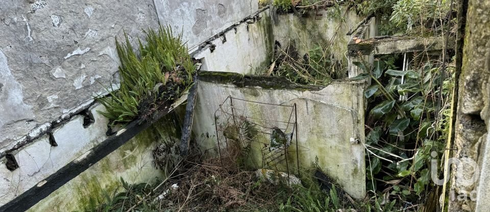 Maison T4 à Ribeiras de 120 m²