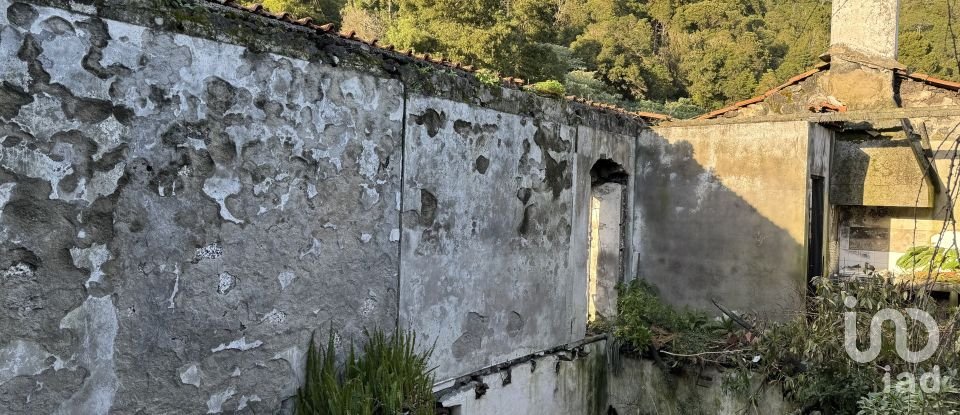 Maison T4 à Ribeiras de 120 m²