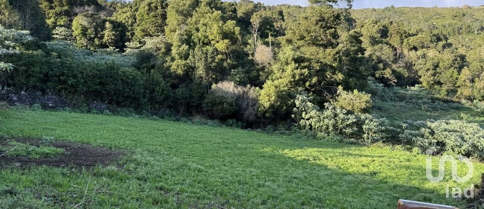 Maison T4 à Ribeiras de 120 m²