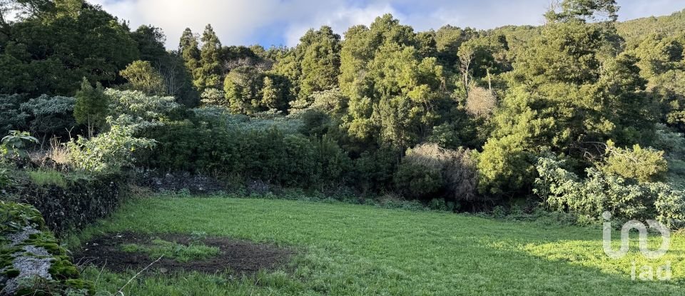 Maison T4 à Ribeiras de 120 m²