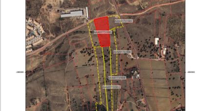 Terrain à Algoz e Tunes de 12 720 m²