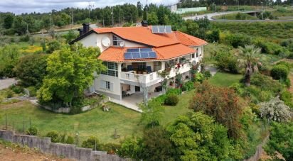 Ferme T6 à Candosa de 334 m²