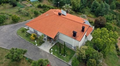 Ferme T6 à Candosa de 334 m²