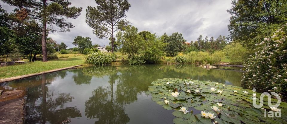 Farm T6 in Candosa of 334 m²