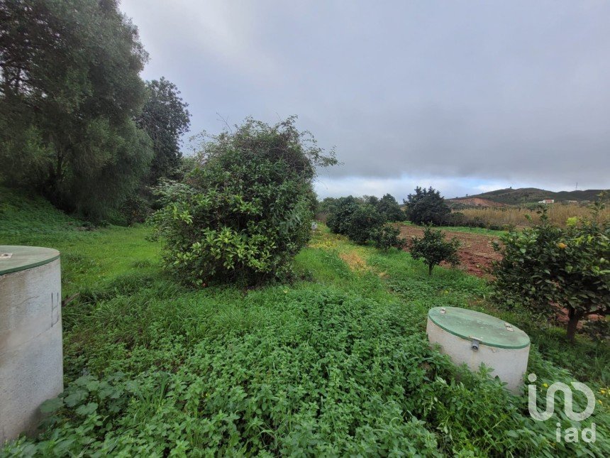Terrain à Silves de 3 900 m²