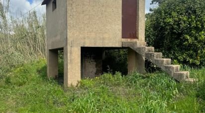 Terrain à Silves de 3 900 m²