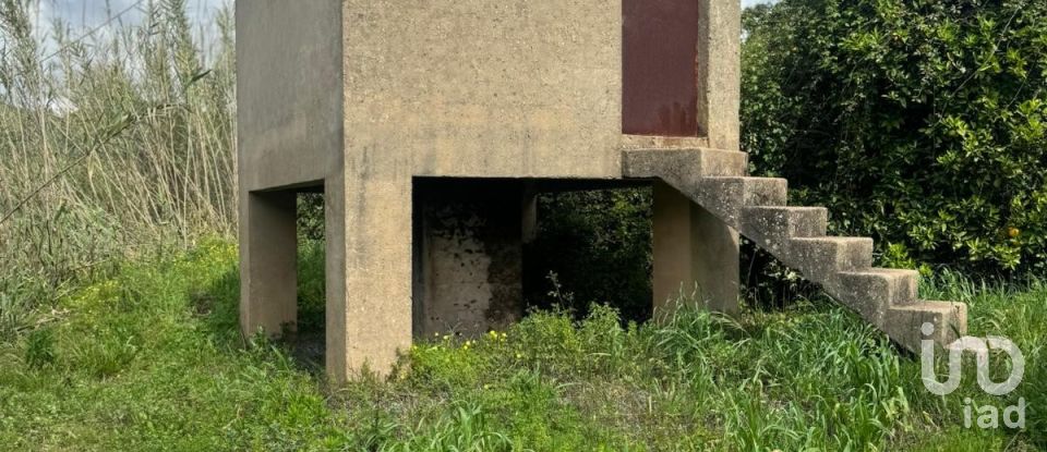 Terrain à Silves de 3 900 m²