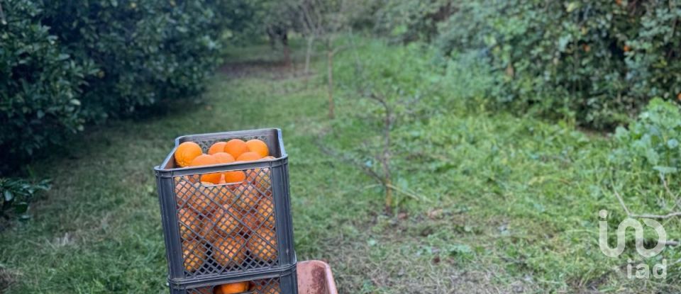 Terrain à Silves de 3 900 m²