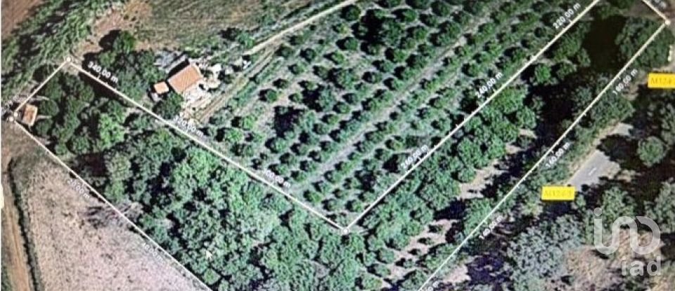 Terrain à Silves de 3 900 m²