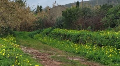 Terrain à Silves de 3 900 m²