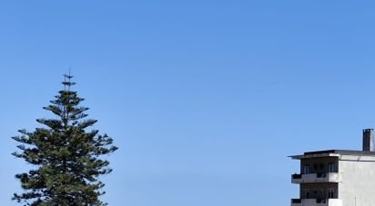 Apartment T2 in São Vicente of 51 m²