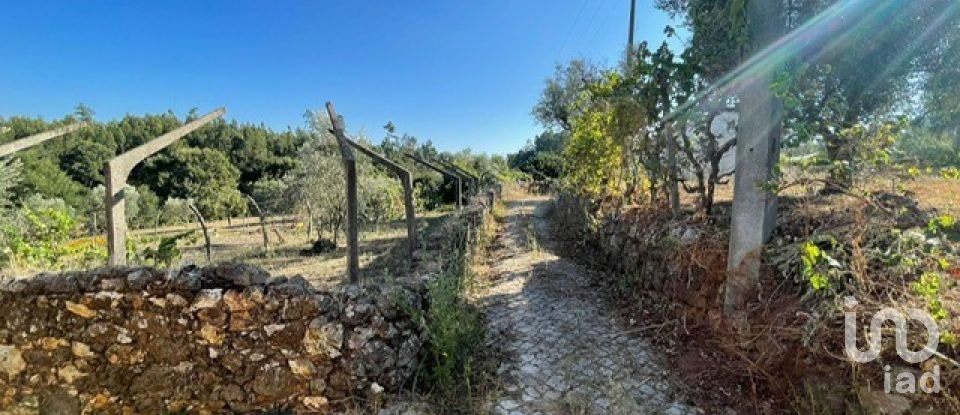 Maison T2 à Arega de 84 m²