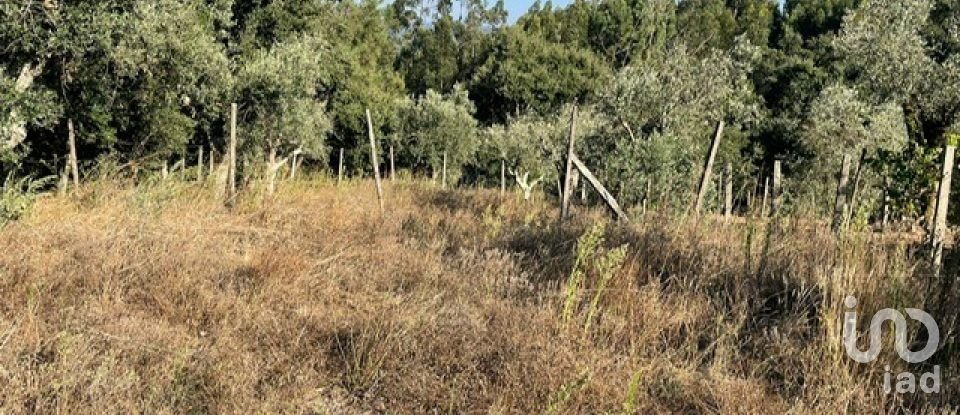 Maison T2 à Arega de 84 m²