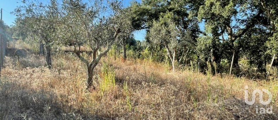 Maison T2 à Arega de 84 m²