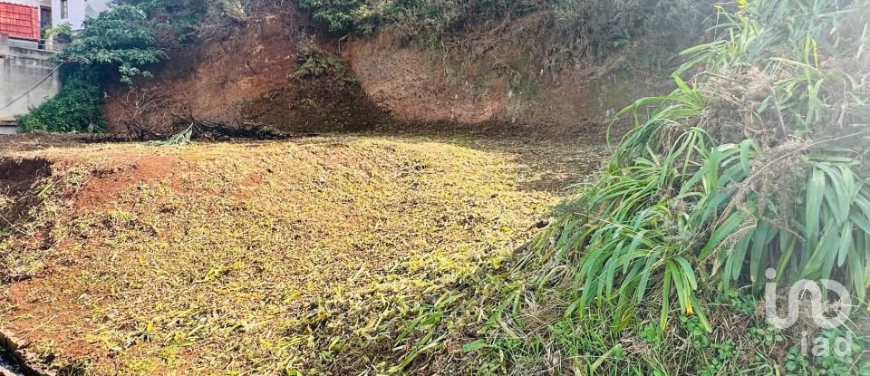 Terrain à São Jorge de 750 m²