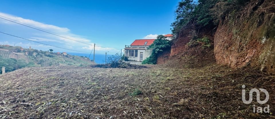 Terrain à São Jorge de 750 m²