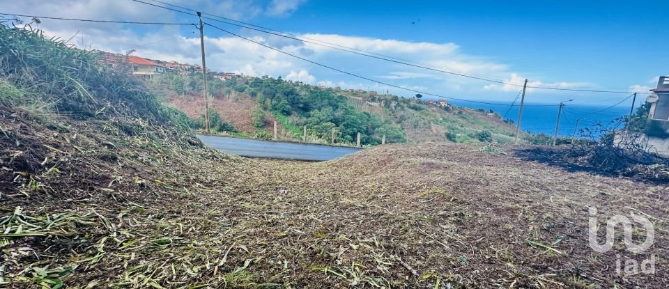 Terrain à São Jorge de 750 m²