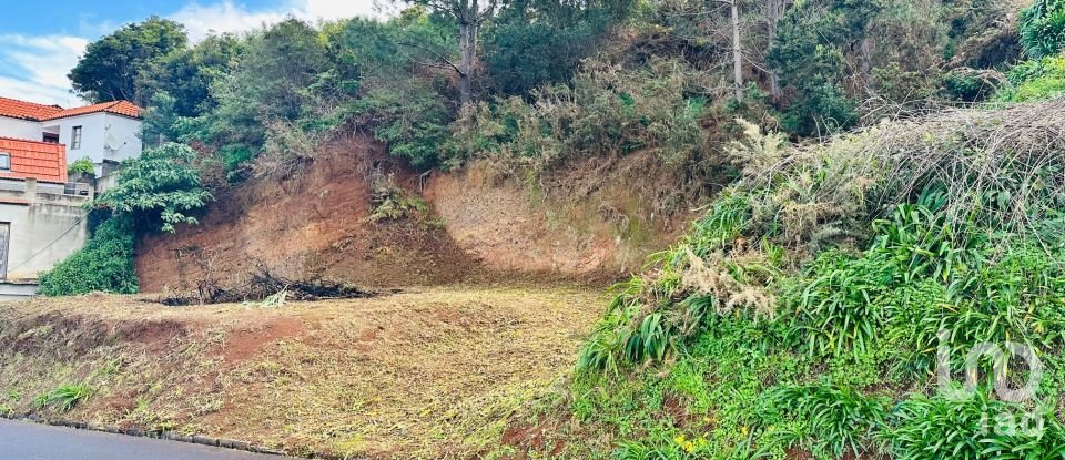 Terrain à São Jorge de 750 m²