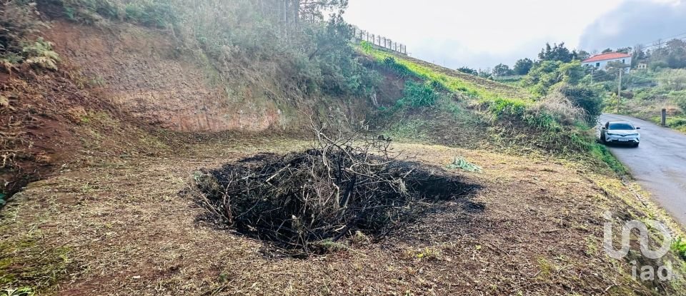 Terrain à São Jorge de 750 m²