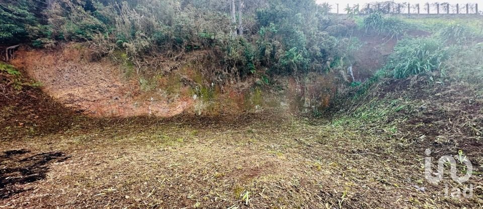 Terrain à São Jorge de 750 m²