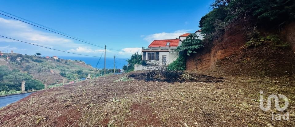 Terrain à São Jorge de 750 m²