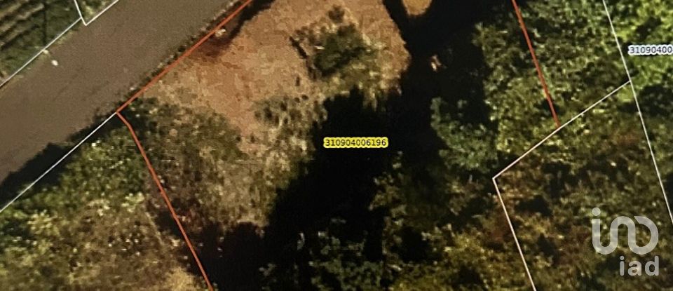 Terrain à São Jorge de 750 m²