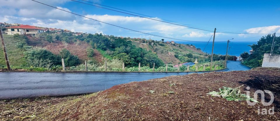 Terrain à São Jorge de 750 m²