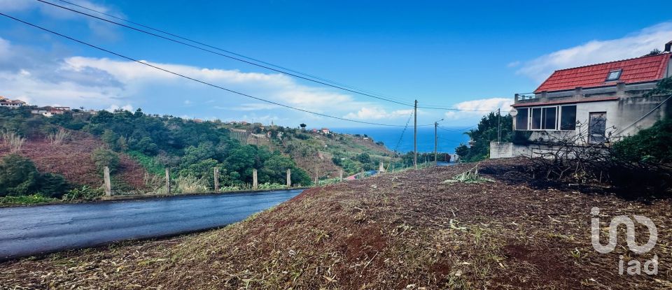 Terrain à São Jorge de 750 m²