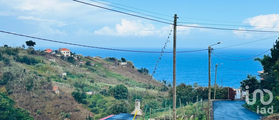 Terrain à São Jorge de 750 m²