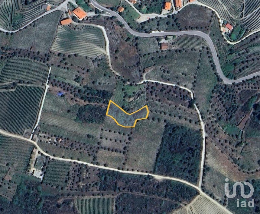 Land in Adorigo of 1,520 m²