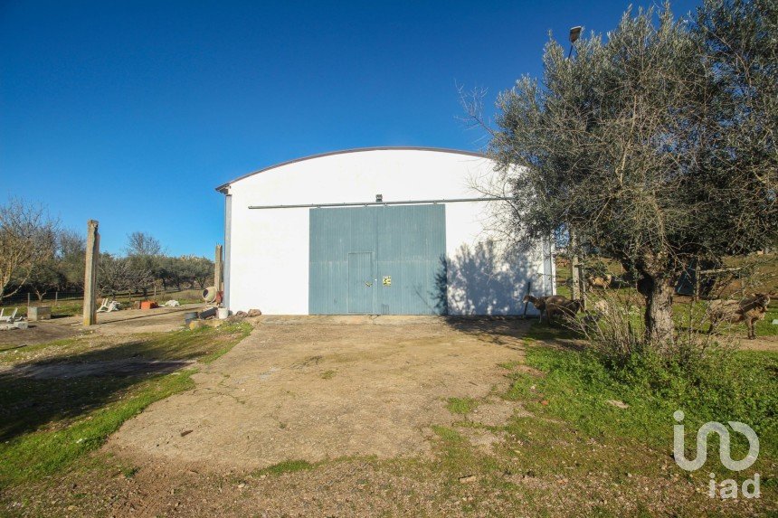 Quinta T0 em Ameixial (Santa Vitória e São Bento) de 180 m²