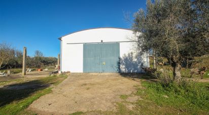 Ferme T0 à Ameixial (Santa Vitória e São Bento) de 180 m²