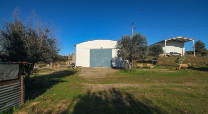 Ferme T0 à Ameixial (Santa Vitória e São Bento) de 180 m²